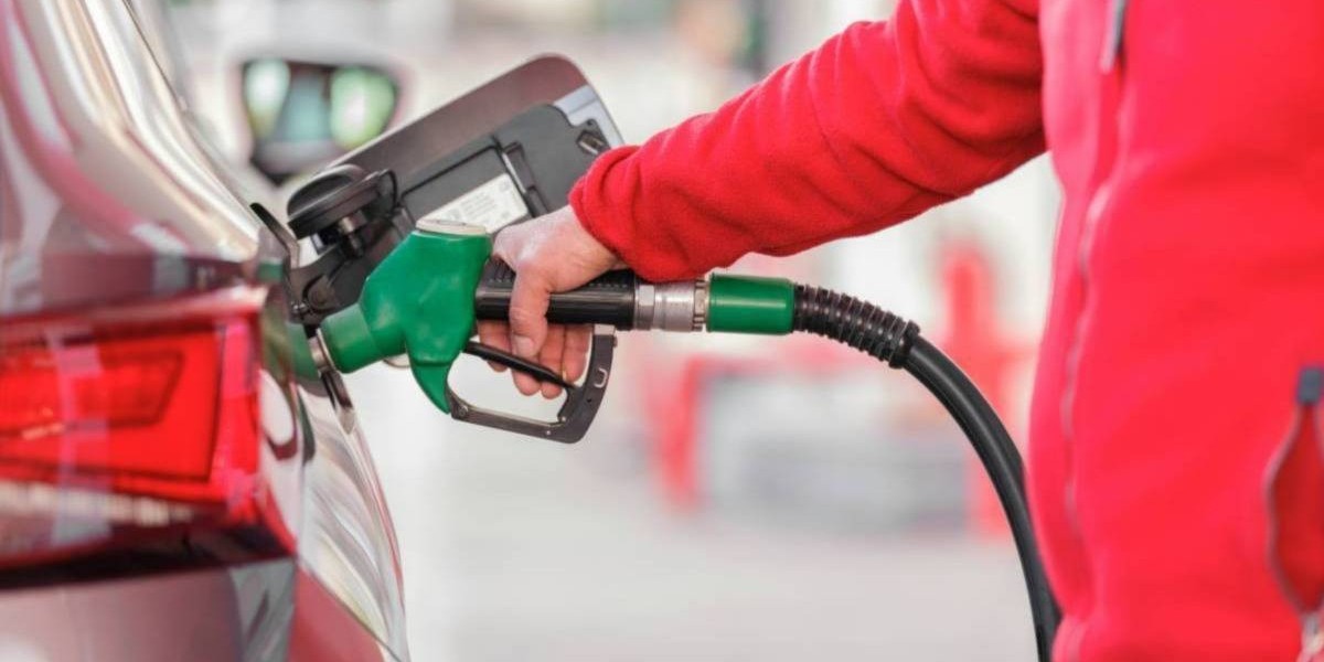 Top Petroleum Companies in UAE: Powering the Nation’s Growth and Global Energy Market