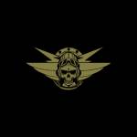 Bulkhead Energy Profile Picture