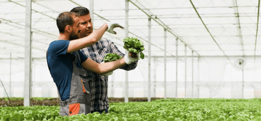 Agricultural Manpower Supply Company in UAE