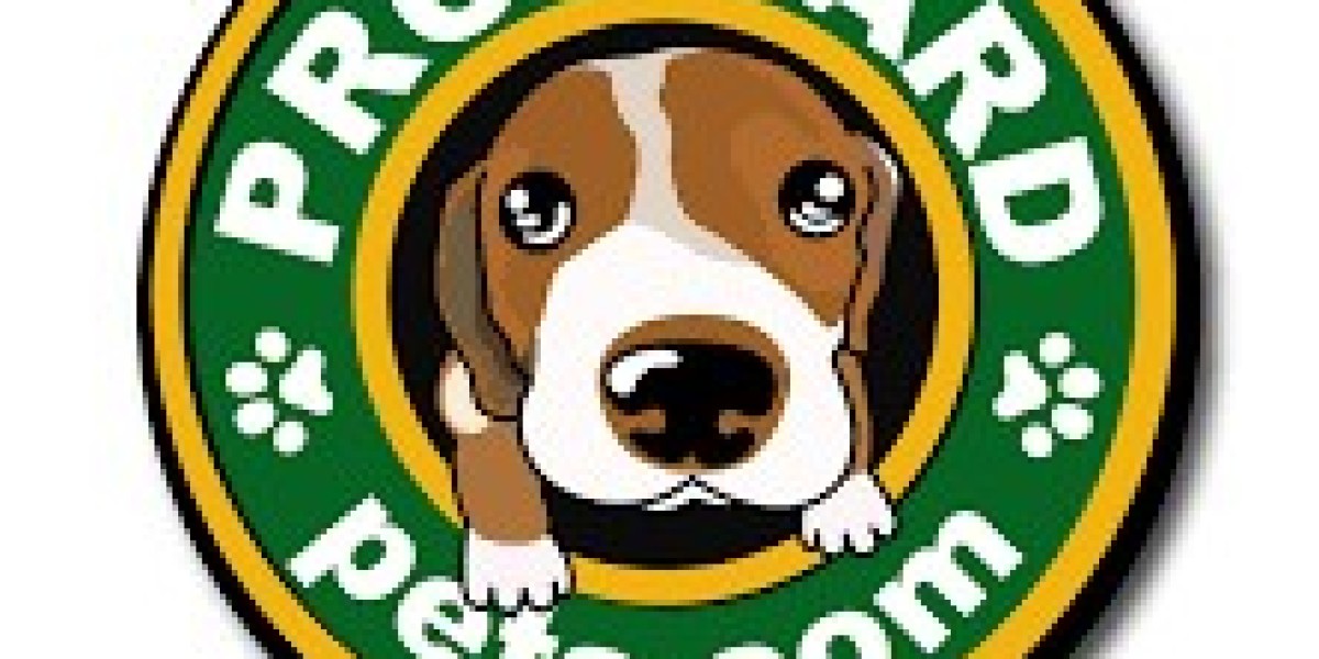 The Best Dog Safety Products Every Owner Should Own in 2025