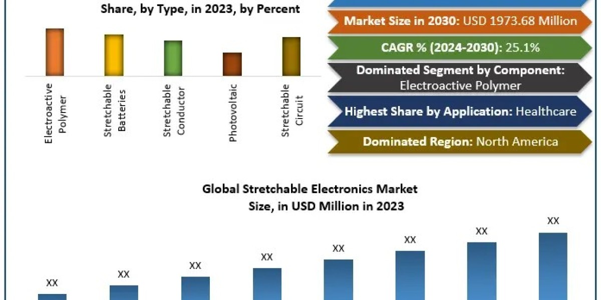 Stretchable Electronics Market Size, Emerging Opportunities, and Future Outlook (2024–2030)