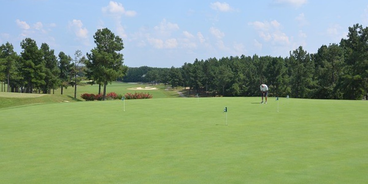 Best Golf Resorts in Michigan: A Complete Resort Travel Guide