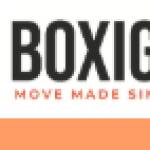 boxigoo profile picture