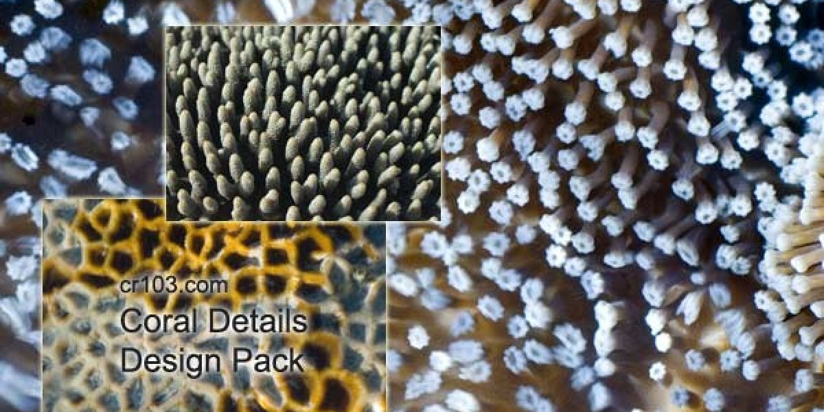 Join the Best Australian Online Casino for Exciting Wins