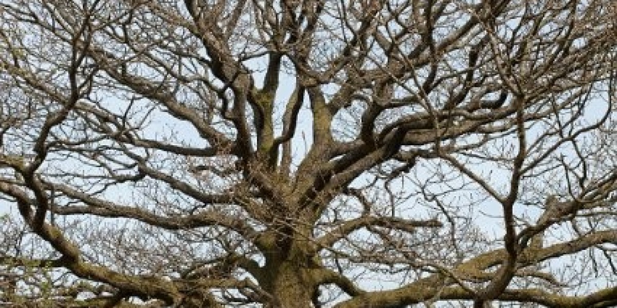 15 Best Online Casinos Australia 2025 Real Money Casino Sites