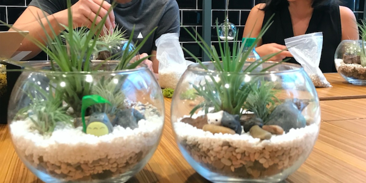 Benefits of Joining a Terrarium Workshop in Singapore