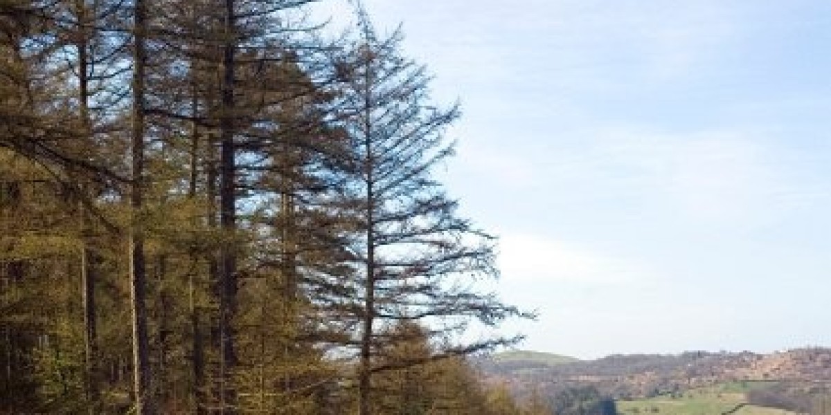 Best Online Casinos in the USA Top Online Gambling sites 2025