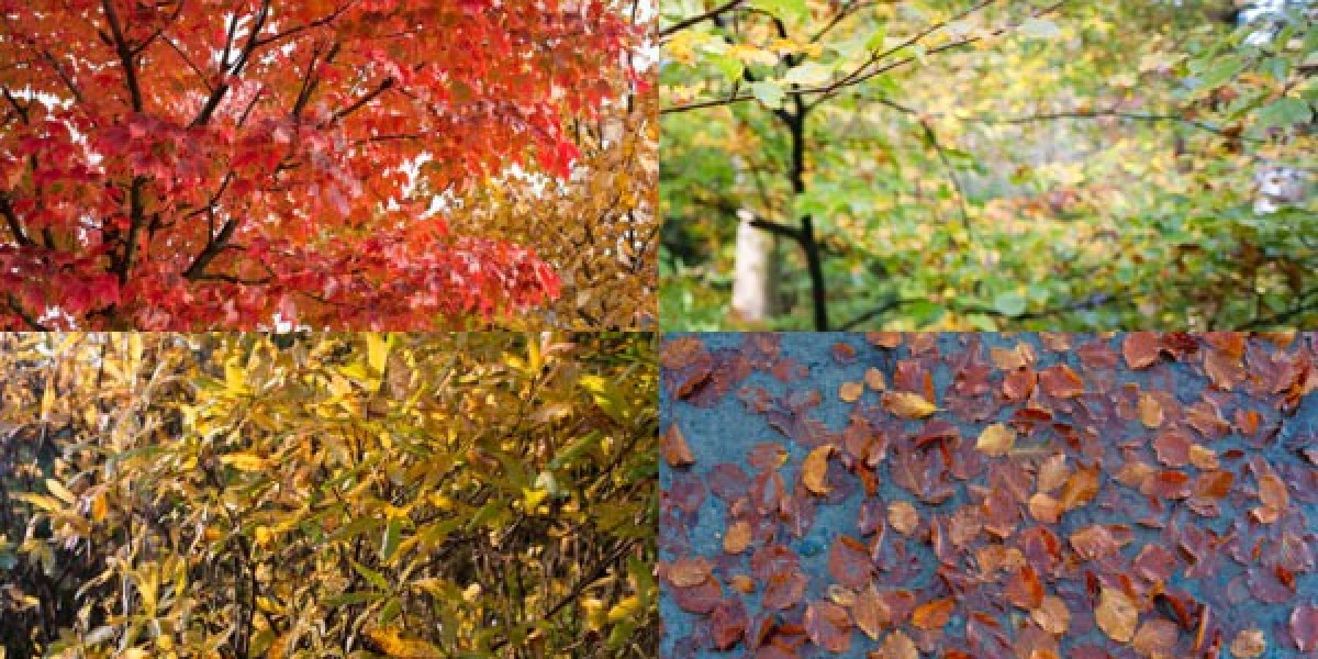 Mindil Beach Casino Resort $168 Darwin Hotel Deals & Reviews