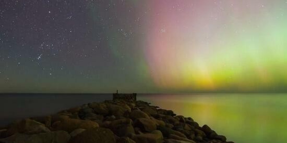 How To Check Bet9ja Slip