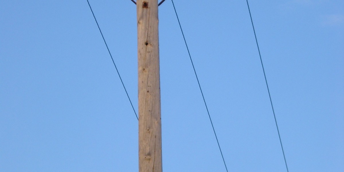 Why the Star Entertainment share price is taking a time-out today