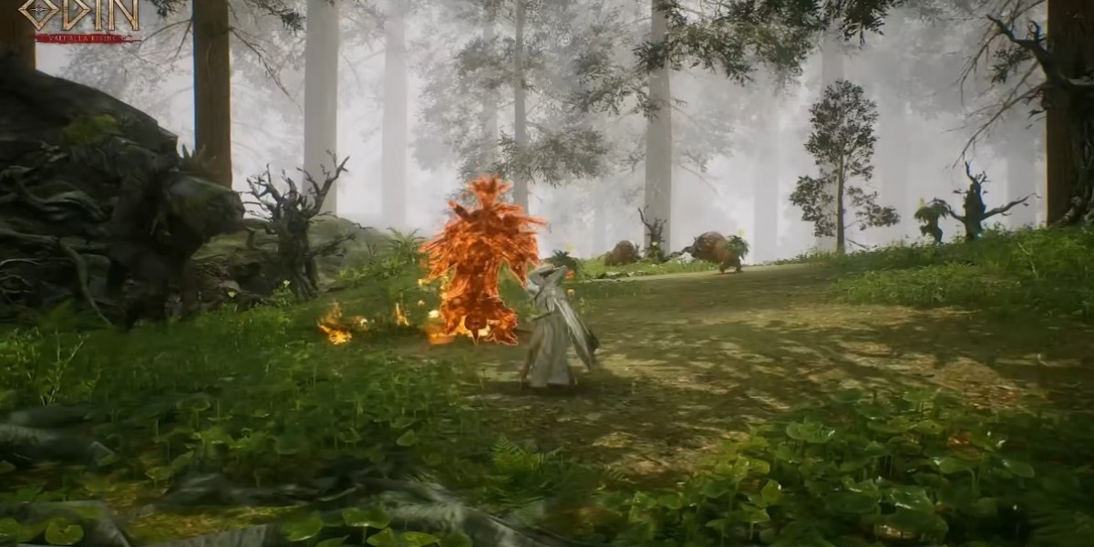 MMoexp: The Dual Combat Identity of Odin: Valhalla Rising