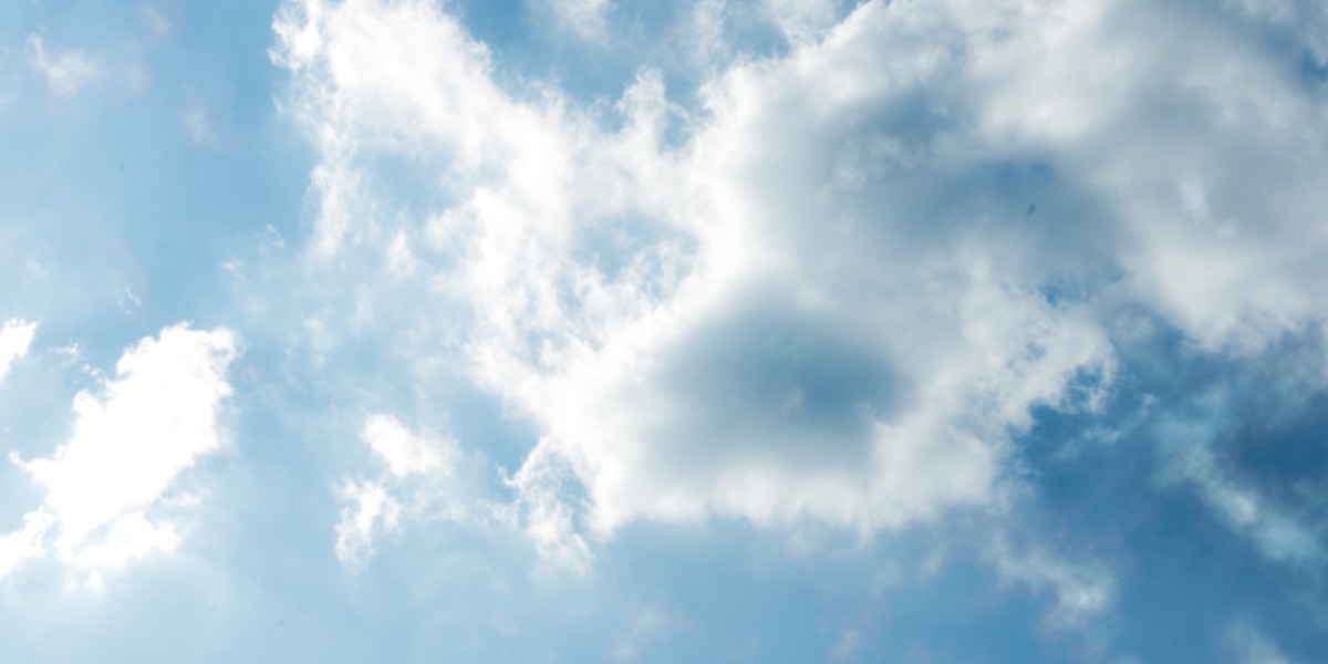 Understanding the Online Buy of Provigil: A Information to Purchasing Low Cost