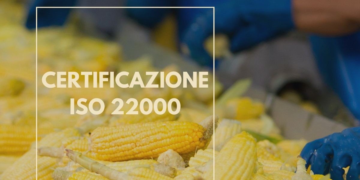 ARTICOLO — Dalla Tracciabilità alla Trasparenza: Perché l’IFS Logistics È la Scelta del Domani