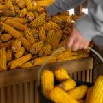 julie mathews Profile Picture