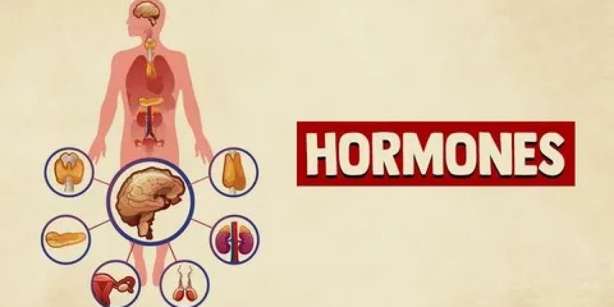 Balance Hormones Naturally Ohio — Unlocking Wellness Through Root-Cause Healing