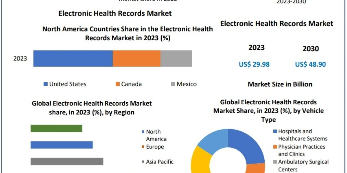 Electronic Health Records Market Size, Growth Drivers, and Industry Forecast (2024–2030)