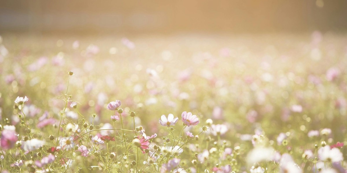 U4GM How to Beat Atziri in POE2 Fate of the Vaal Guide