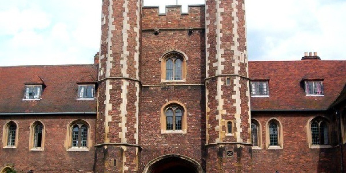 Navigating Elite Academic Pathways with Integrated Professional Mentorship