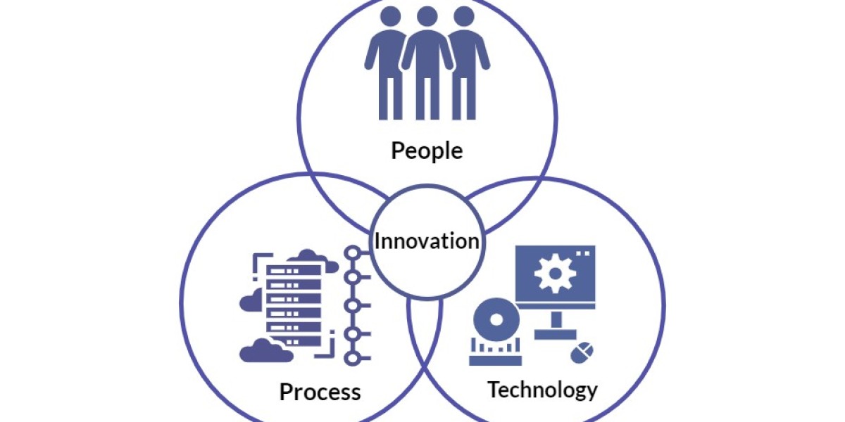 Kamil Pyciak: Growing Forward With Purpose and Persistence