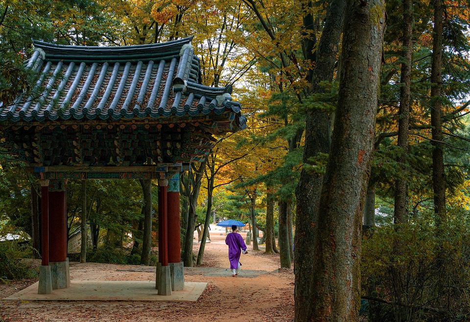 Spring in South Korea: Best Outdoor Activities & Attractions 2026 | OneVasco Blog