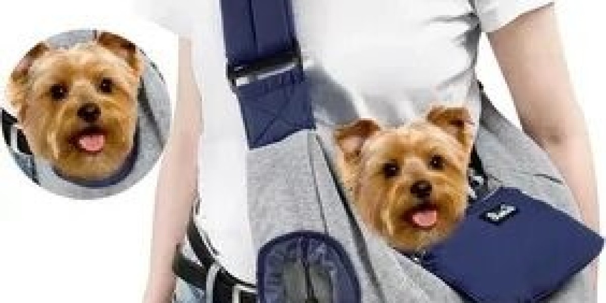 Why This Small Dog Front Carrier Is Perfect for Everyday Adventures