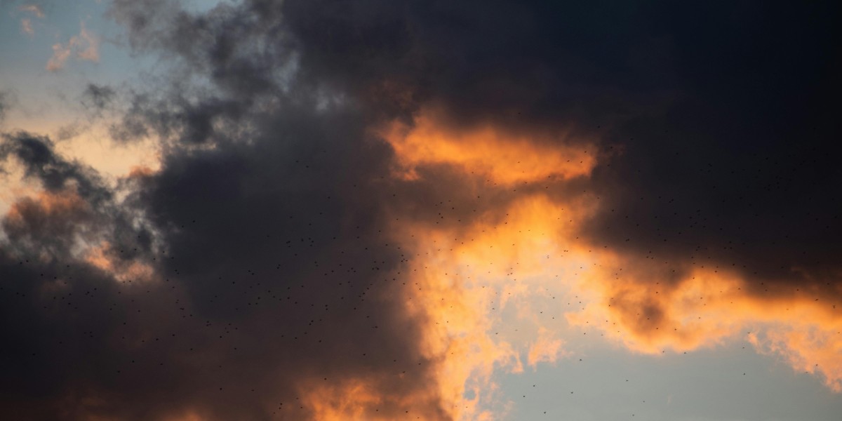 Fast Fallout 76 Level Boosting Service – ezpnc