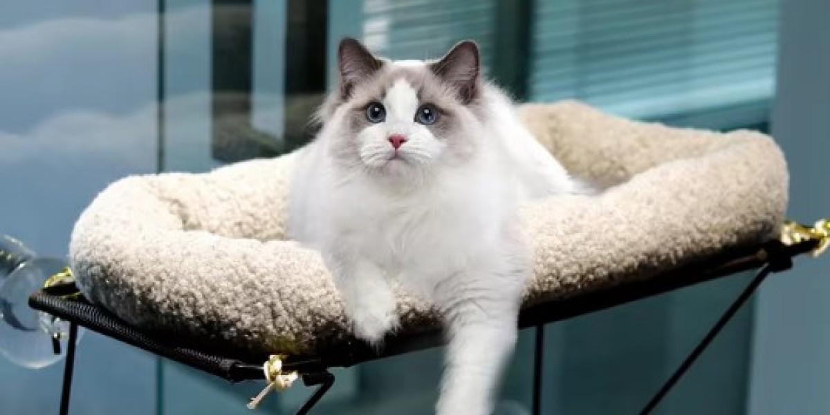 Understanding the Need for Litter Boxes