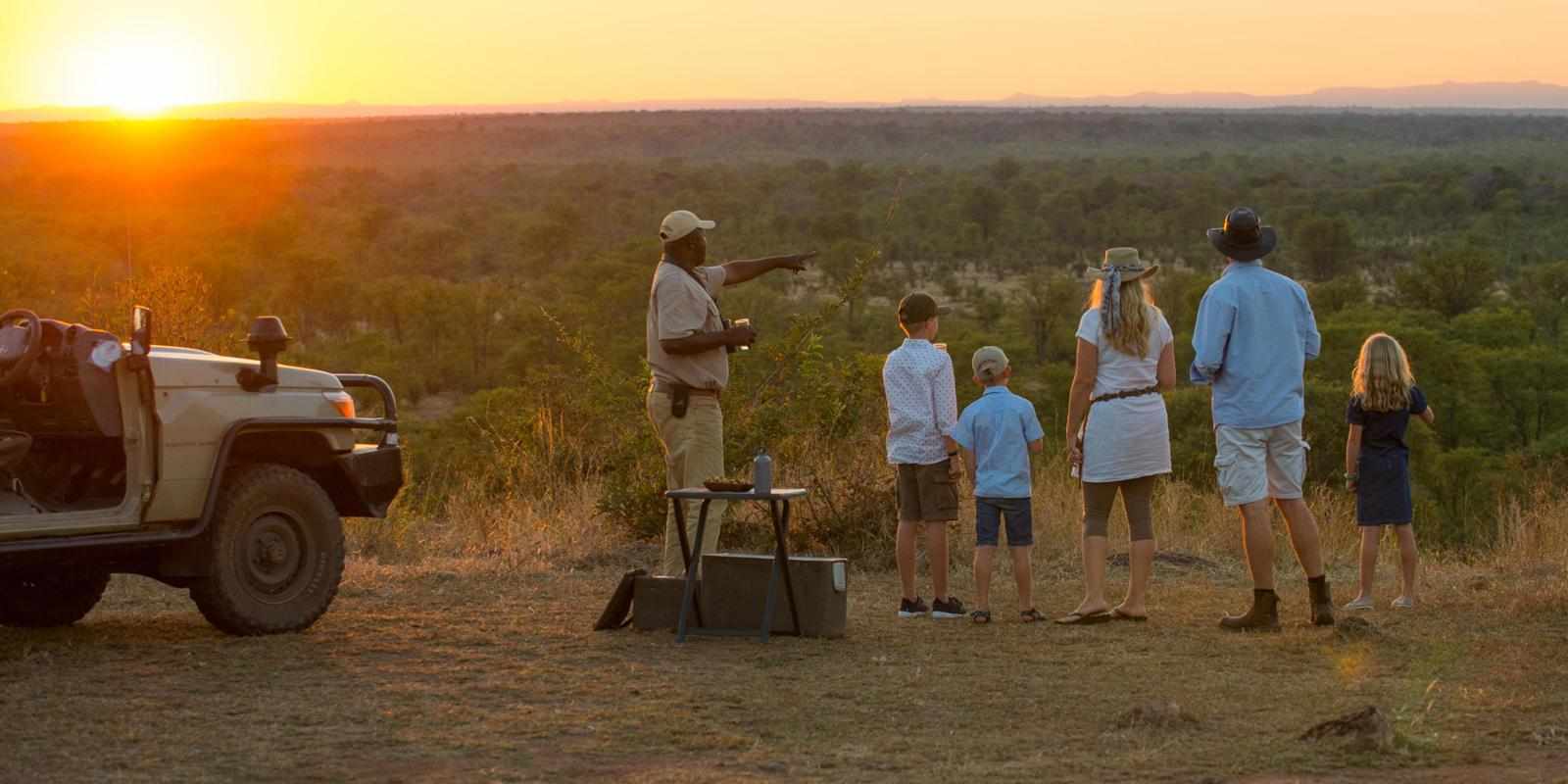 What Are the Best Family-Friendly Safari Lodges and Camps?