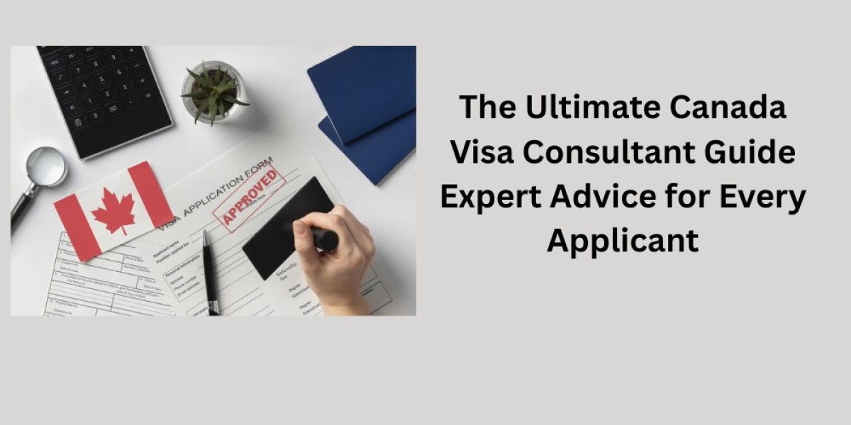 The Ultimate Canada Visa Consultant Guide Expert Advice for Every Applicant