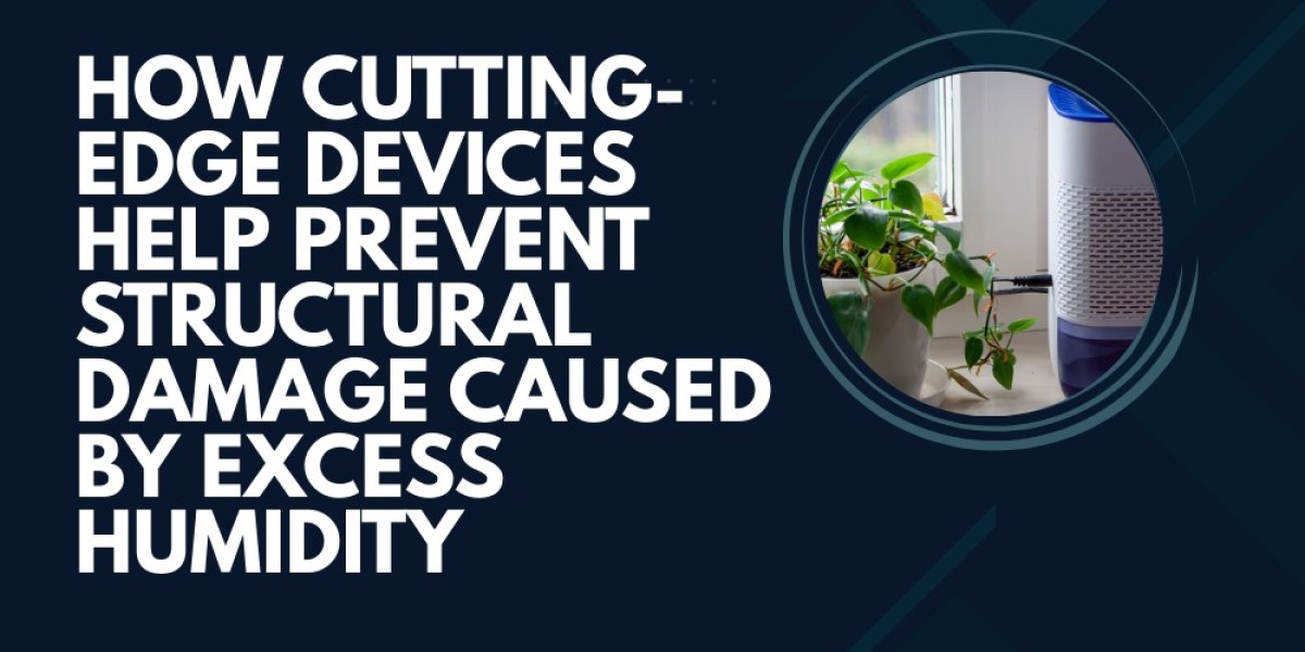 How Cutting-Edge Devices Help Prevent Structural Damage Caused by Excess Humidity