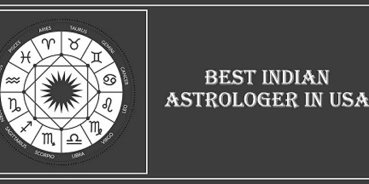 Best Indian Astrologer in Minnesota