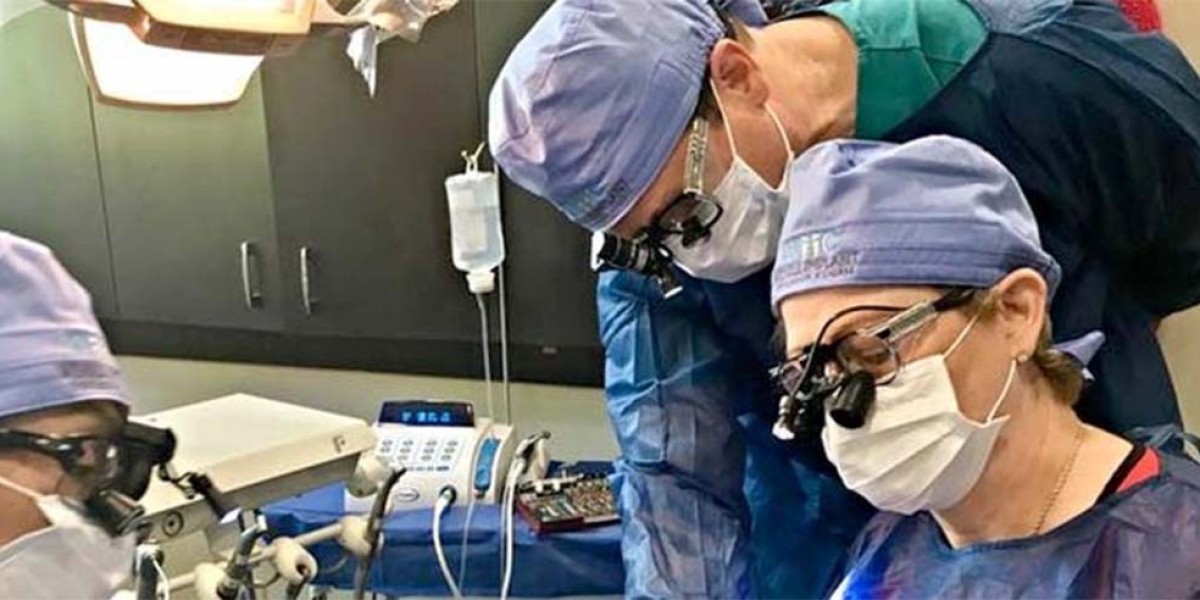 Building Expertise in modern Implantalogy