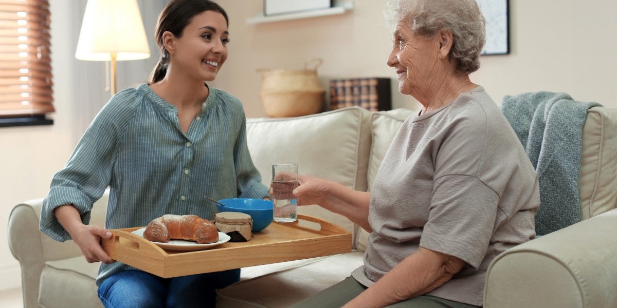 Important Tips To Assist The Seniors Under Palliative Care, Okotoks