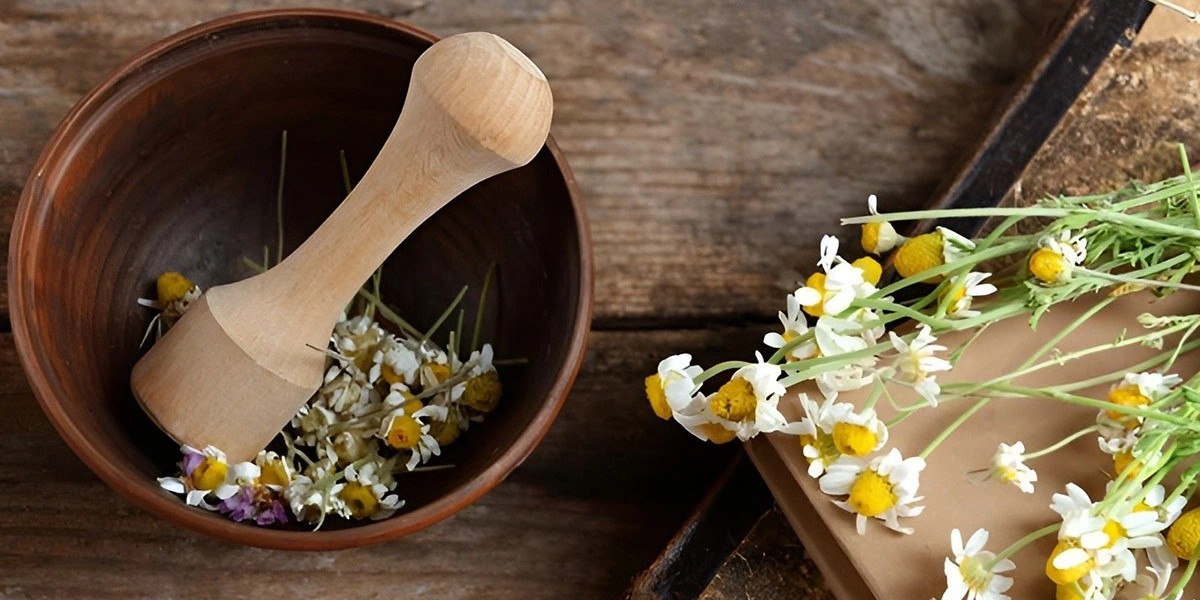 Natural Pills for Anxiety: Exploring Herbal and Nutrient Support