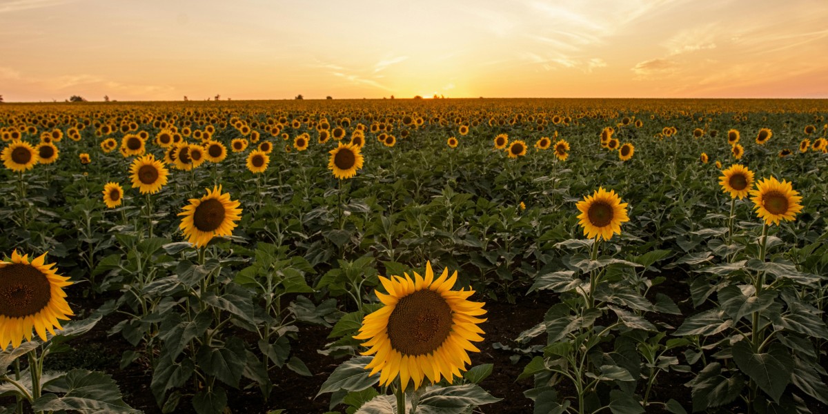 Is Armourer's Scrap worth stockpiling? Is it good for long-term investment?