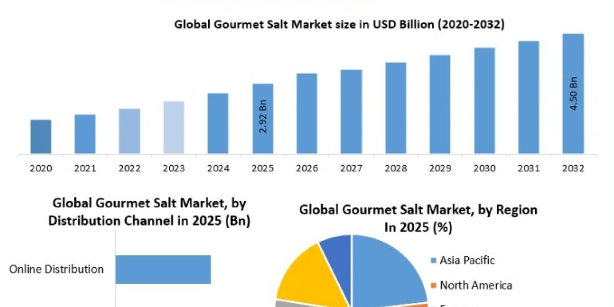 Gourmet Salt Market Analysis: Regional Market Insights and Country-Level Performance