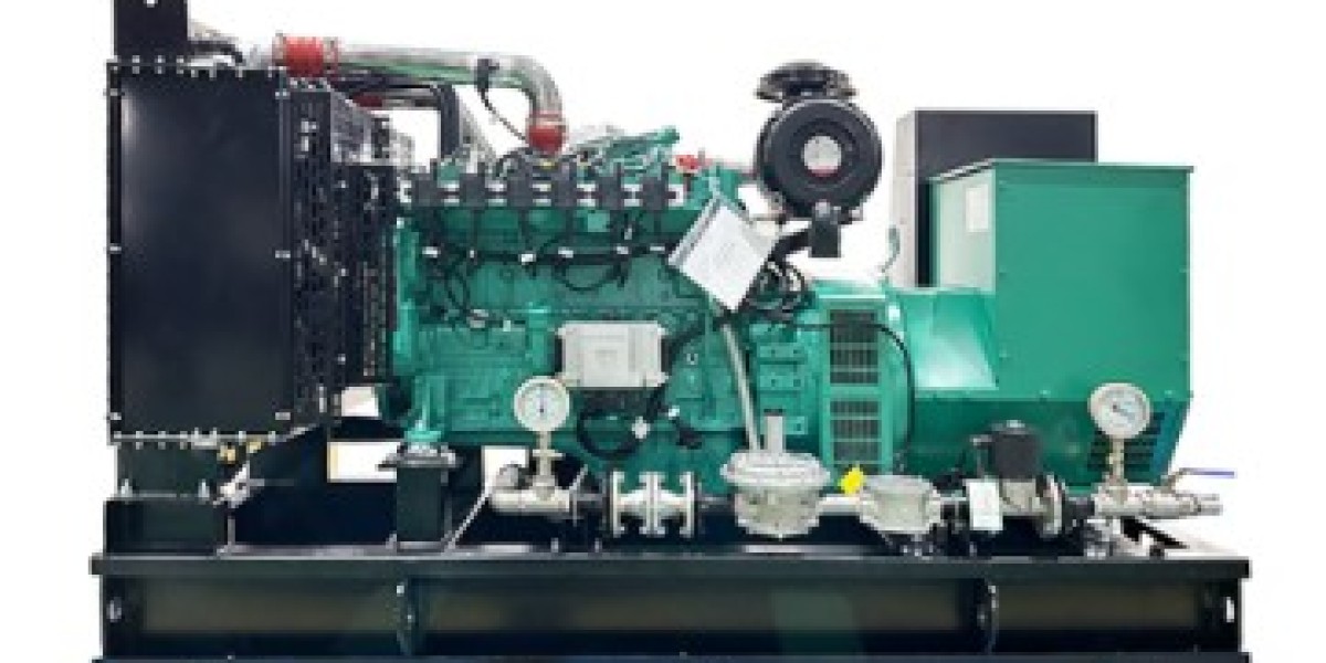 How to Choose Fuel for a Biogas Generator Set?