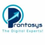 Prontosys IT Services Profile Picture