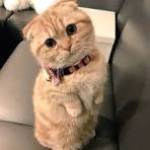 thao chip Profile Picture