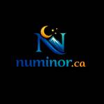 Numinor Accounting Profile Picture