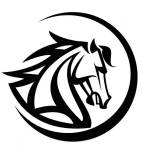 Stallion Motors Profile Picture