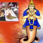 Mangaldosh Nivaranpujaujjain Profile Picture