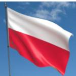 stussypoland Profile Picture