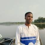 hammed hammed profile picture